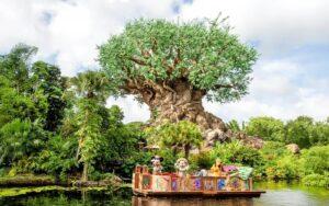 כרטיסים לממלכת החיות של דיסני באורלנדו