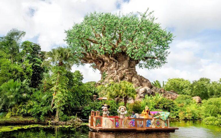 כרטיסים לממלכת החיות של דיסני באורלנדו